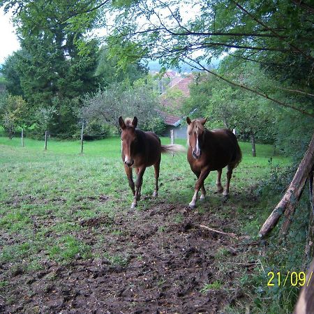 2 Chambres D'Hotes Privees Louees Separement Avec Communs A Partager Beaufort  ภายนอก รูปภาพ
