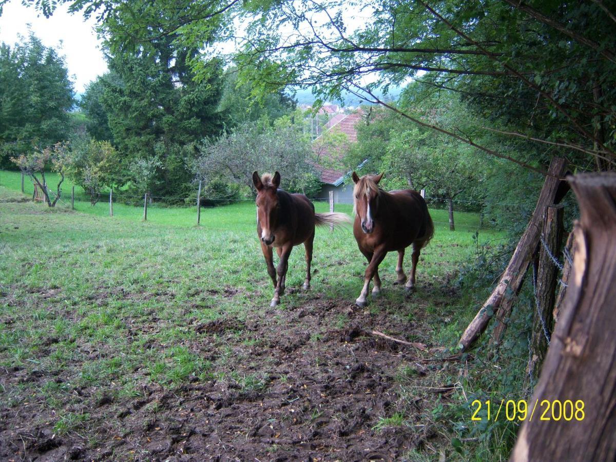 2 Chambres D'Hotes Privees Louees Separement Avec Communs A Partager Beaufort  ภายนอก รูปภาพ
