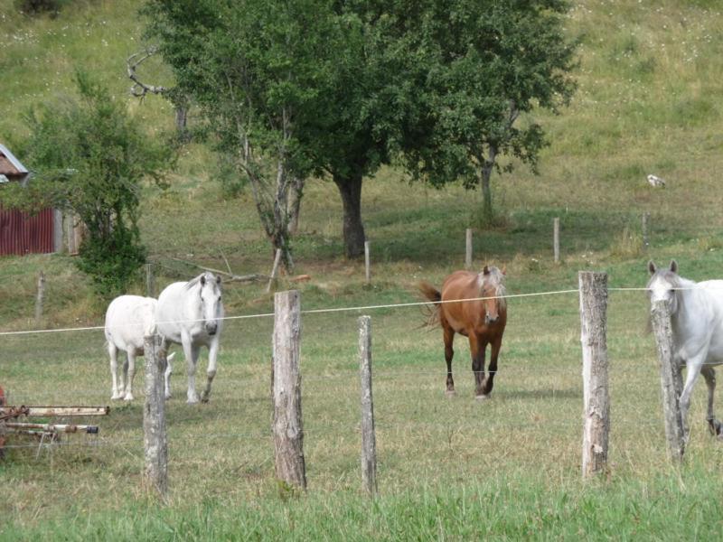 2 Chambres D'Hotes Privees Louees Separement Avec Communs A Partager Beaufort  ภายนอก รูปภาพ